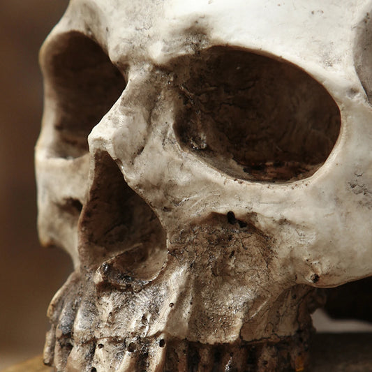 💀 Resin Skull Head Decorative Flower Pot