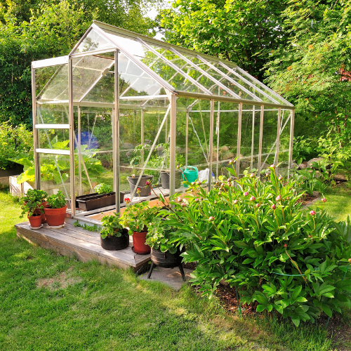 Greenhouse & Hydroponics
