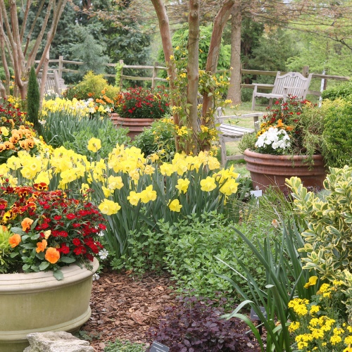 Pots, Planter, & containers
