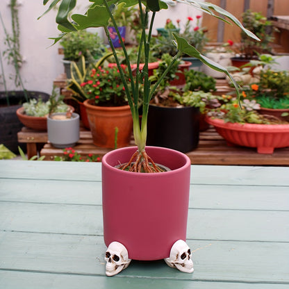 Spooky Skull Resin Planter Set Of 6 - Halloween Decorative  Skull Planter Pots