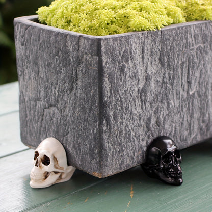 Spooky Skull Resin Planter Set Of 6 - Halloween Decorative  Skull Planter Pots
