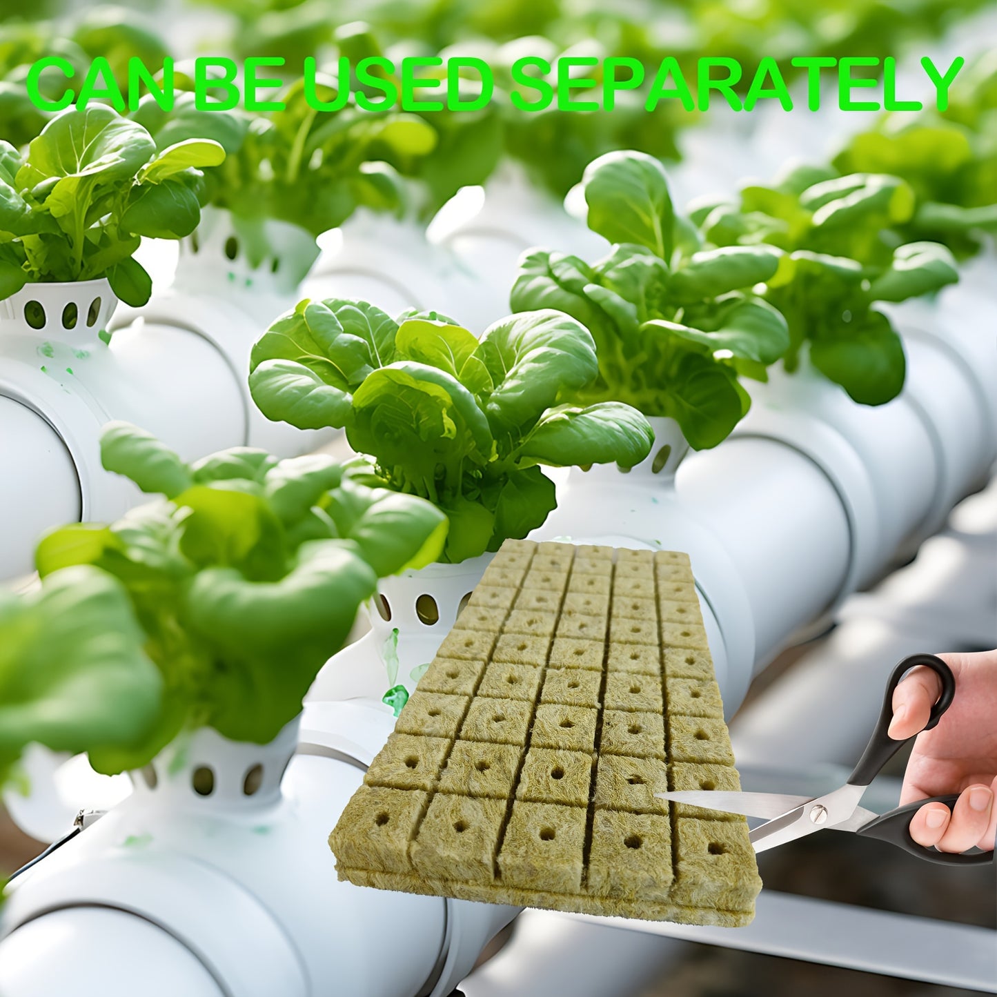 Seed Starting Plugs (100pcs / 50pcs)