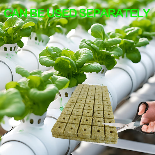 Seed Starting Plugs (100pcs / 50pcs)