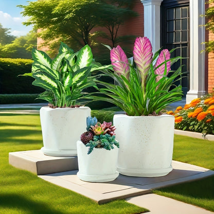 Contemporary Ceramic Planter Pots Set of 3 with Saucer Tray, Drainage Hole, Polished Finish - Irregular Shape Multipurpose Pot