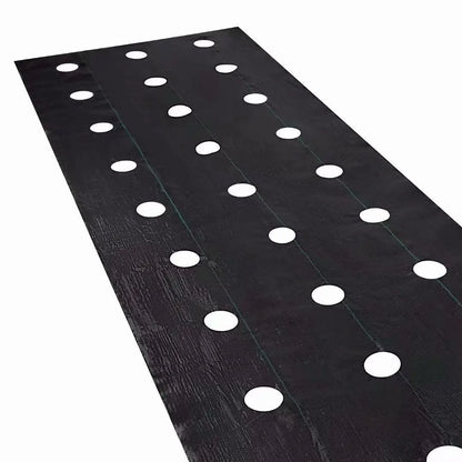 Weed Block for Raised Bed or Outdoor Garden. This is a product that I have found to be invaluable.  Unless up like pulling and hoeing  weeds and grass.