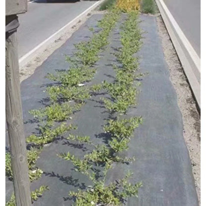 Weed Block for Raised Bed or Outdoor Garden. This is a product that I have found to be invaluable.  Unless up like pulling and hoeing  weeds and grass.