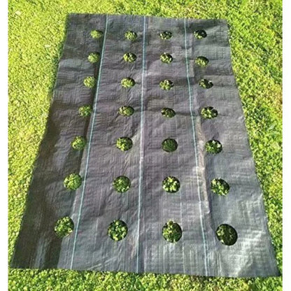 Weed Block for Raised Bed or Outdoor Garden. This is a product that I have found to be invaluable.  Unless up like pulling and hoeing  weeds and grass.