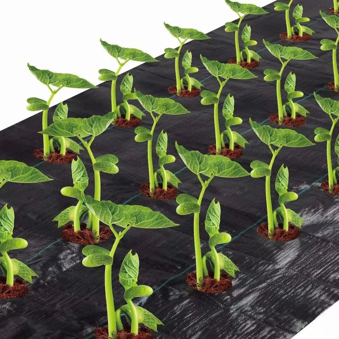 Weed Block for Raised Bed or Outdoor Garden. This is a product that I have found to be invaluable.  Unless up like pulling and hoeing  weeds and grass.