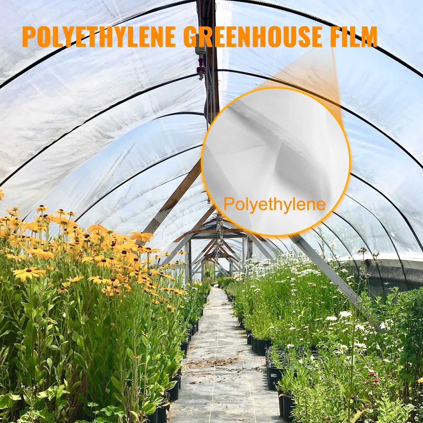 Agricultural Greenhouse Film Clear Plastic UV Resistant Polyethylene