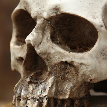 💀 Resin Skull Head Decorative Flower Pot