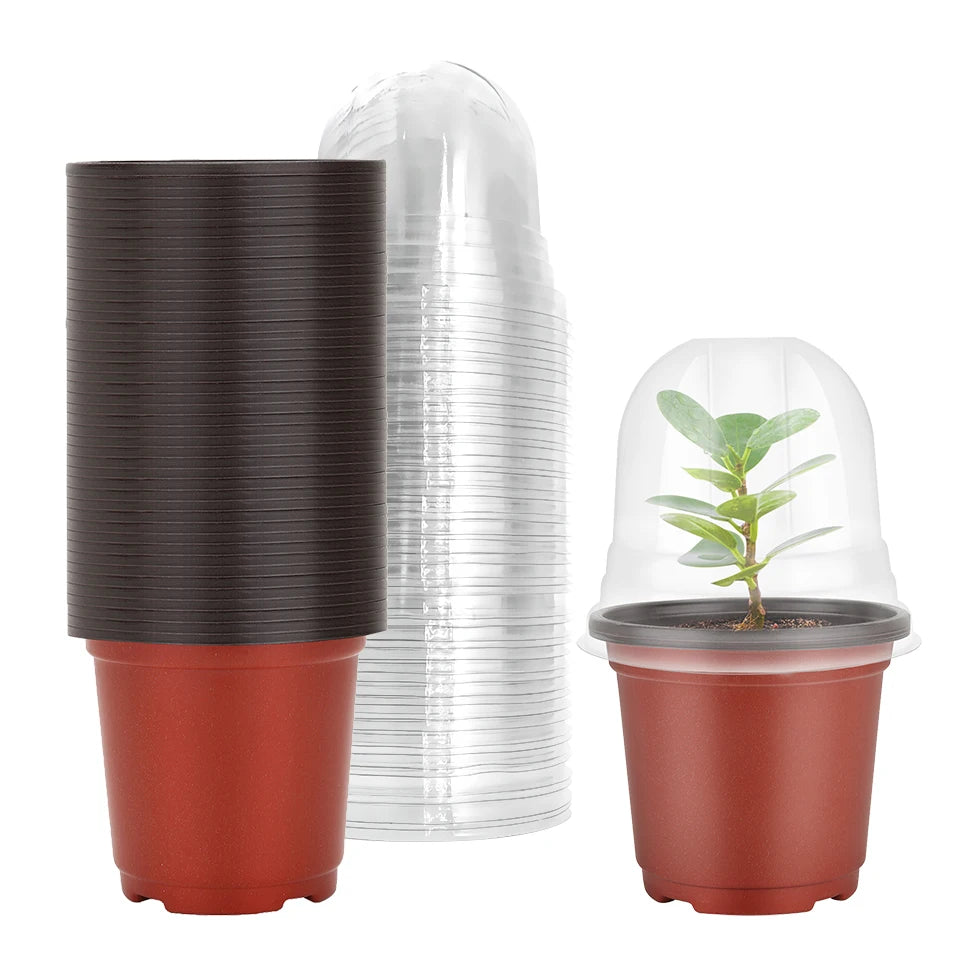 Plant Nursery Pots with Humidity Domes — 40‑Set Seed Starter Kit