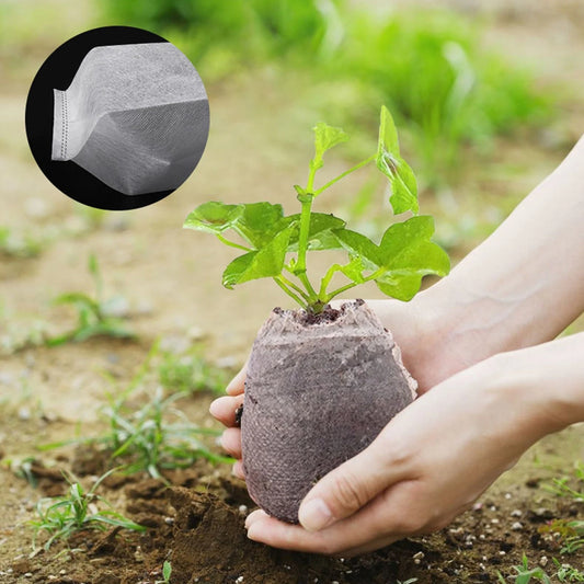 Biodegradable Nursery Bags — 100–500 Pack