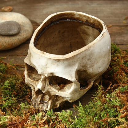 💀 Resin Skull Head Decorative Flower Pot