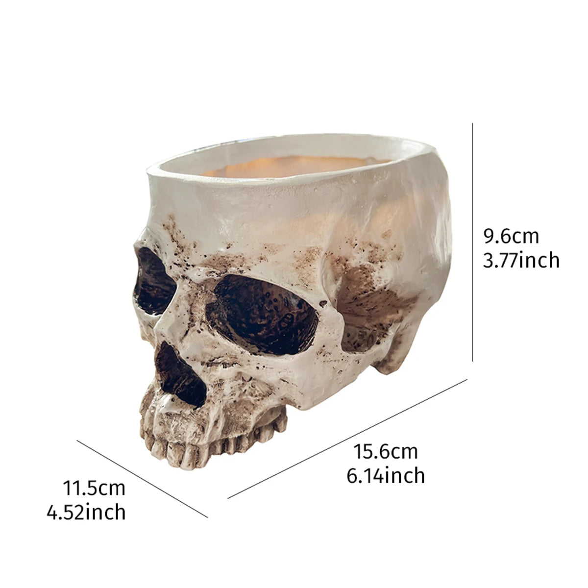💀 Resin Skull Head Decorative Flower Pot