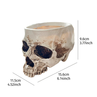 💀 Resin Skull Head Decorative Flower Pot