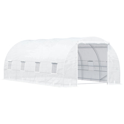 20X10X7Ft Heavy Duty Walk-In Greenhouse
